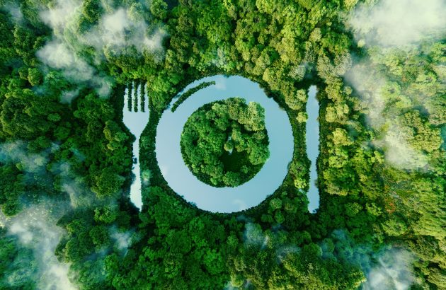 Half of Brits more likely to choose eco-friendly bars and restaurants