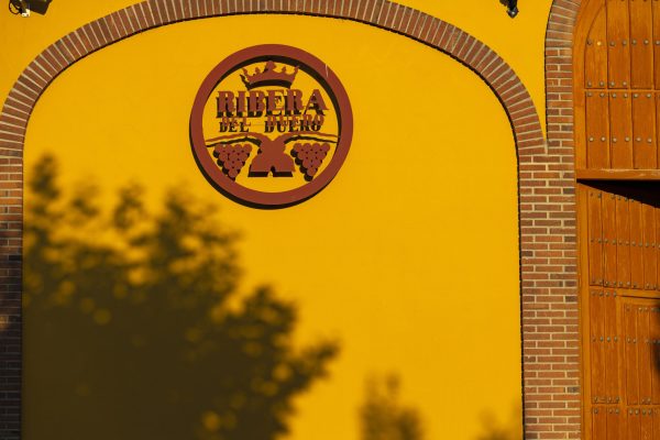 Is there a future for Tempranillo in Ribera del Duero?