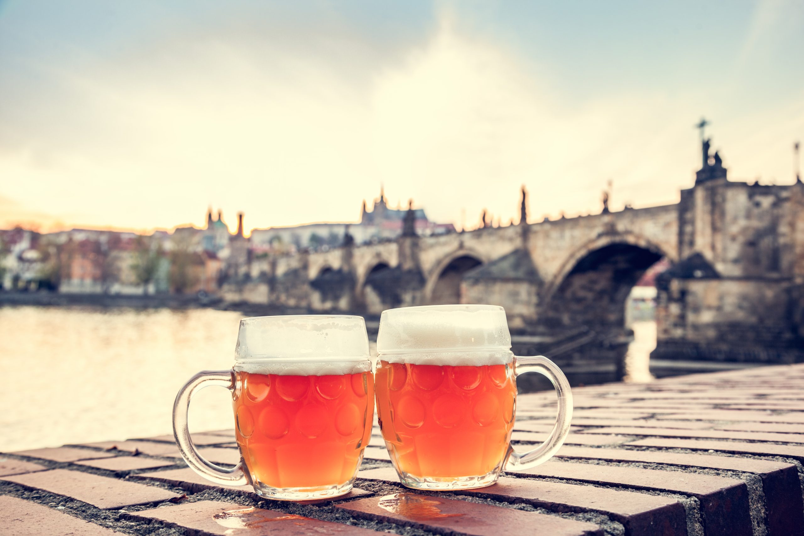 Čeští vědci používají pyl k výrobě „keltského“ piva.