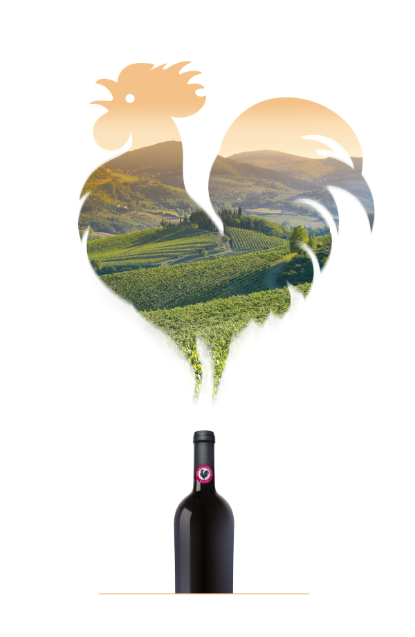 db recommends: The Grand Chianti Classico Tasting