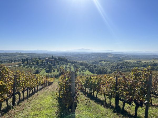 Why a top Chianti estate is embracing Cabernet Franc