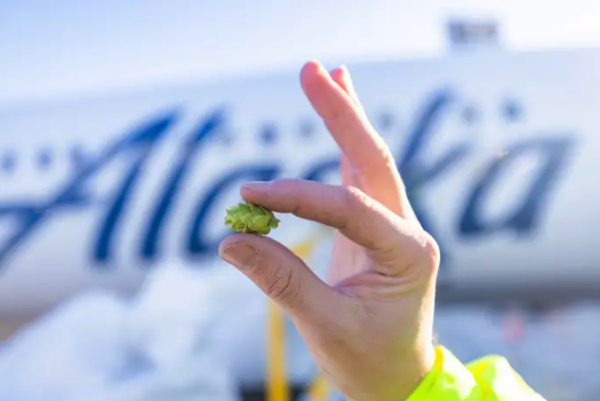 Alaska Airlines’ epic beer run helps remote breweries make IPAs