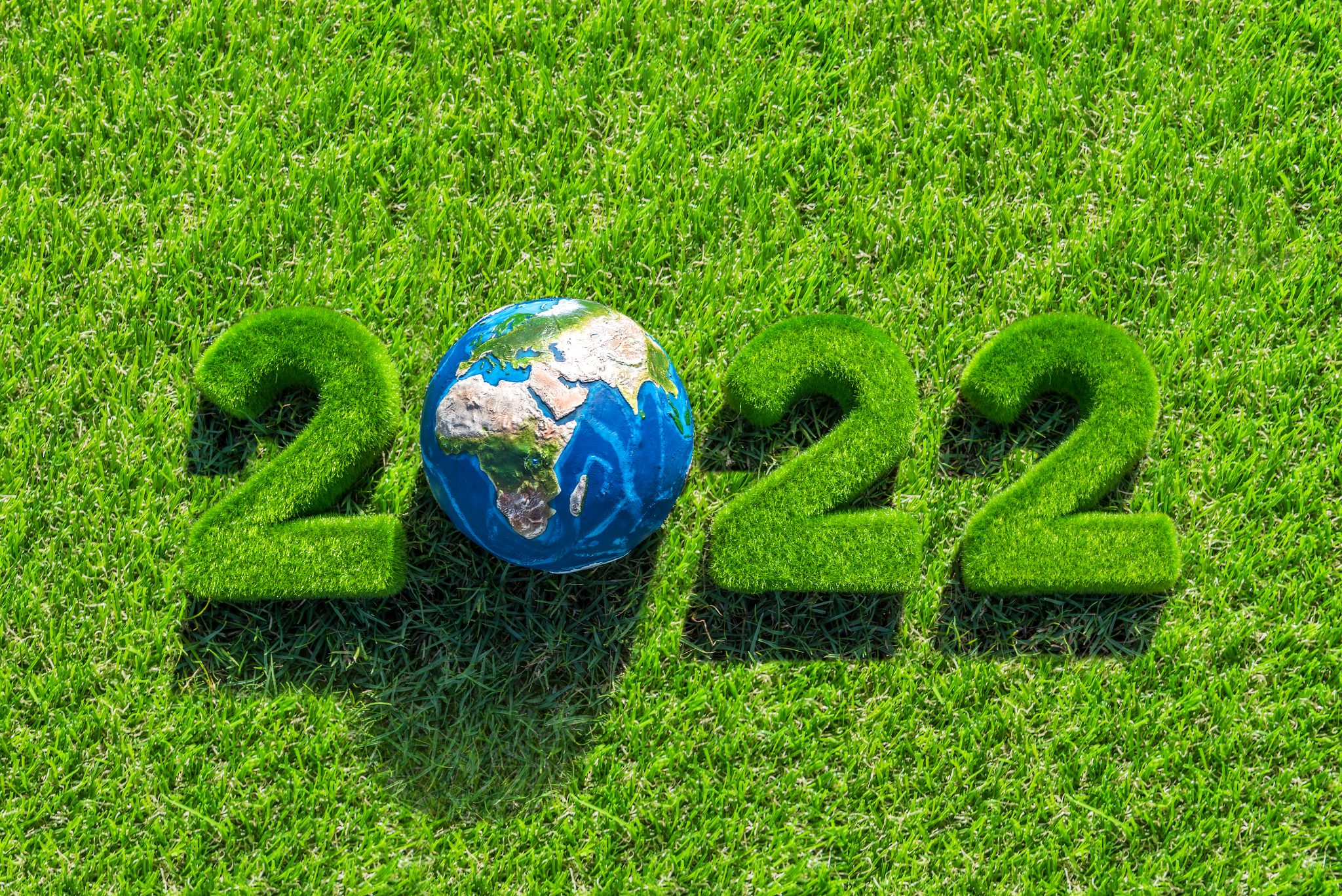 2022 Winners