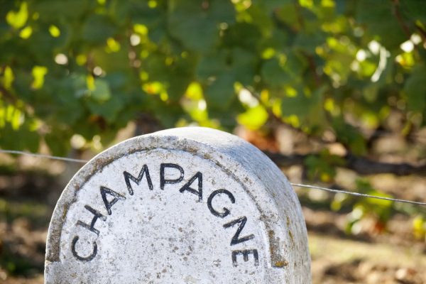 Champagne yields to drop in 2023 as sales decline