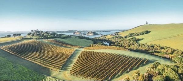 New identity for New Zealand Winegrowers