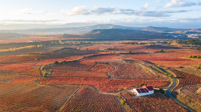 Rioja has more than 66,000 hectares of productive vineyards