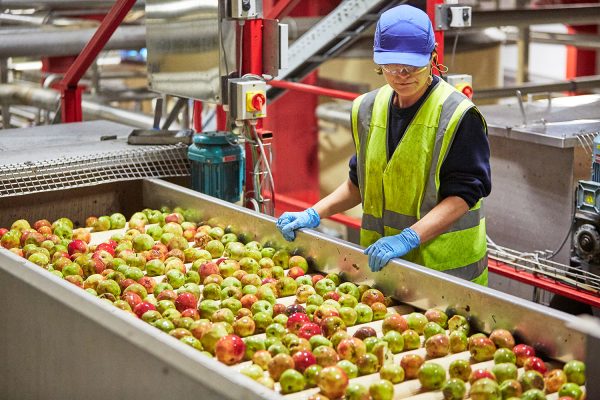 Westons Cider announces £2 million investment