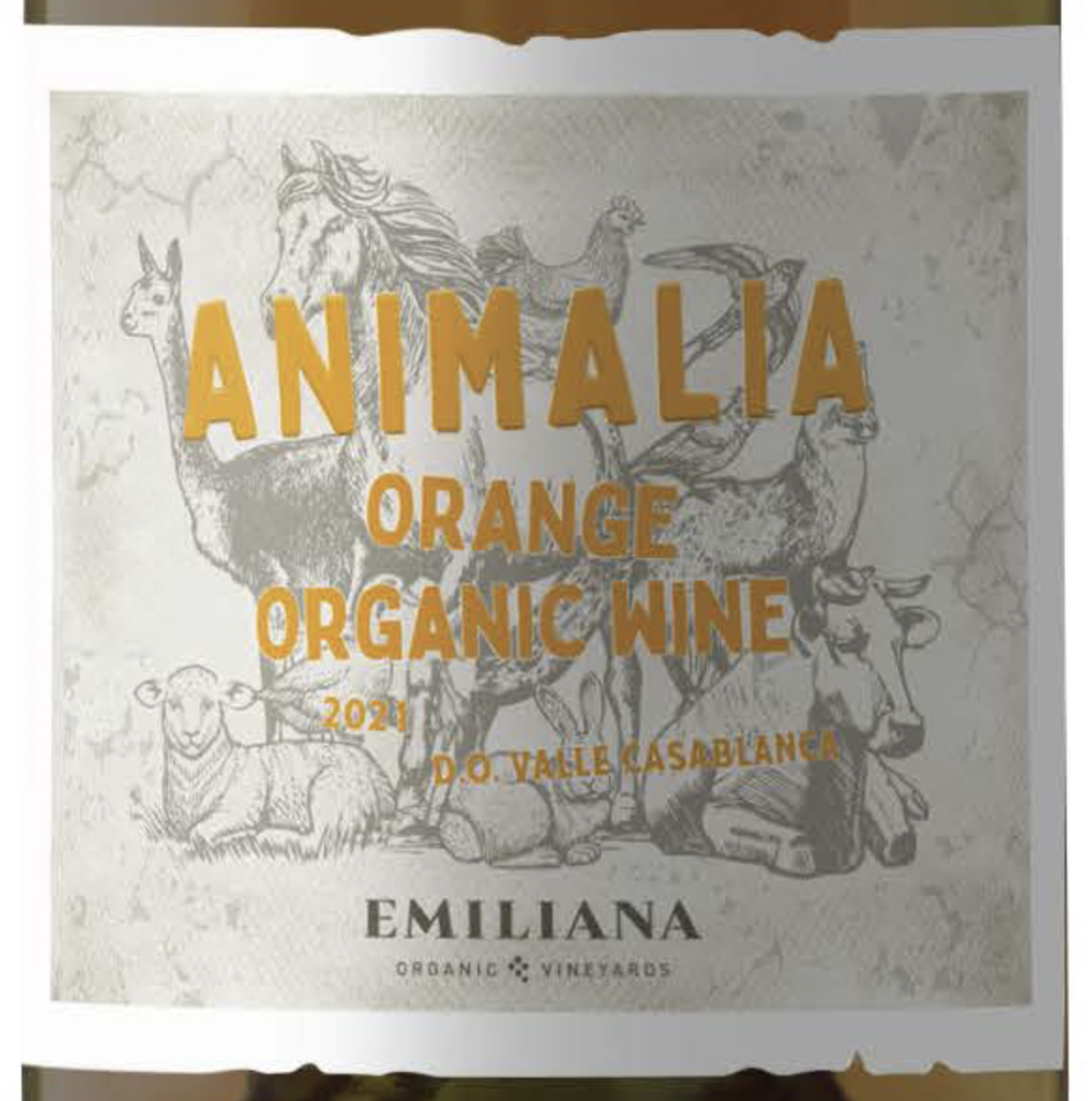 14 exciting white, rosé and sparkling wines from Chile The Drinks