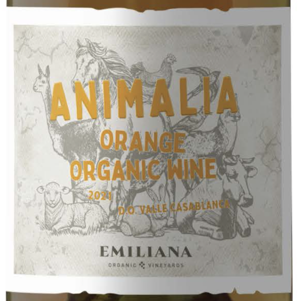 14 exciting white, rosé and sparkling wines from Chile