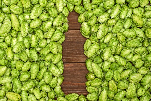 Brewery launches hop-infused water