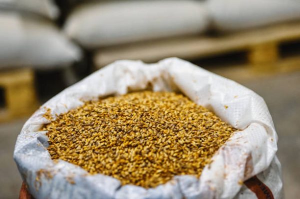 Milton Brewery tackles price hikes by stockpiling malt