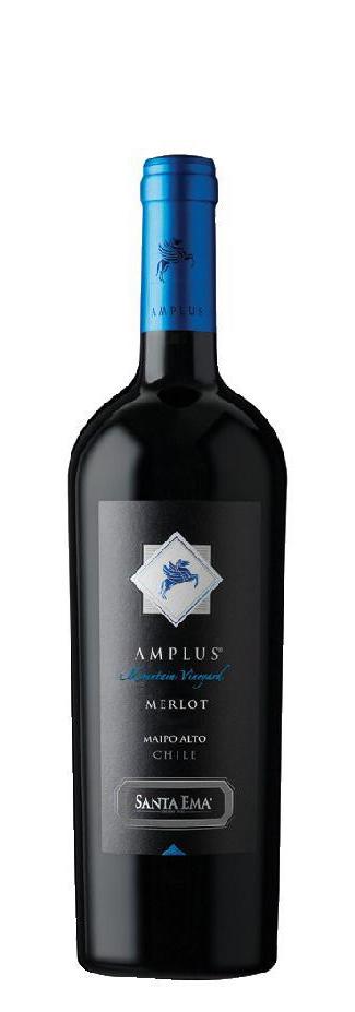 - Merlots and The Malbecs fine Drinks Syrahs, Chile selection Business of A from