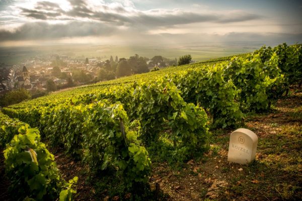 Champagne Boizel to release the ‘jewel’ in its crown on La Place