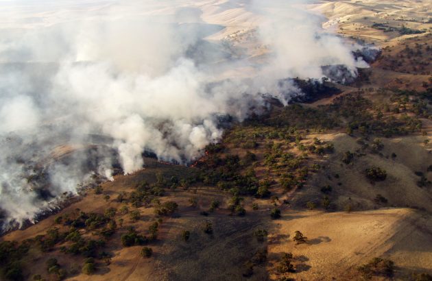 Leave fire management to farmers, says Aussie wine boss