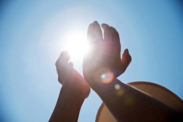 Can vines benefit from reiki therapy?