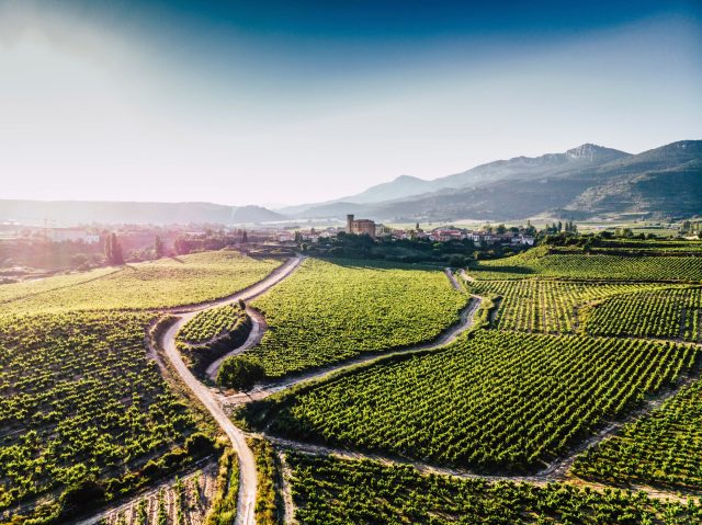 Rioja winery Remírez de Ganuza sees wine sales rocket in 2022