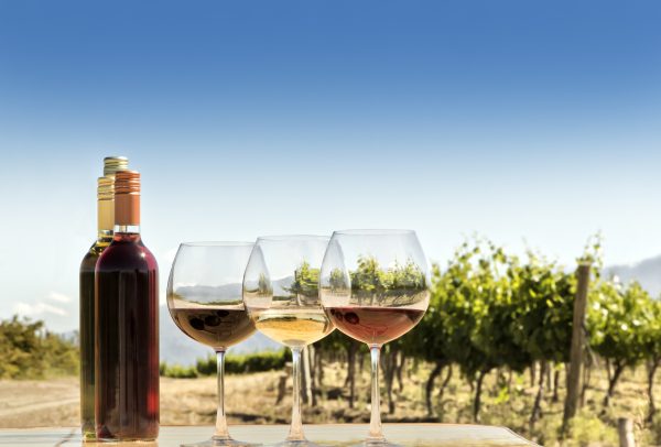 Napa Valley ranked most expensive US wine region for a holiday