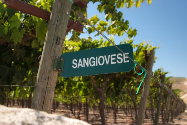 db recommends: Sangiovese Reset