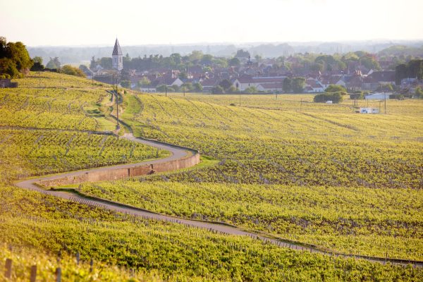 Grand cru for Les Saint-Georges?