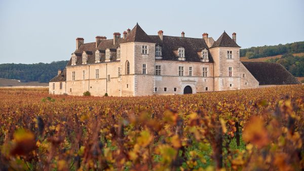 Hospice de Nuits sale hails ‘abundant and sun-drenched’ 2022 harvest