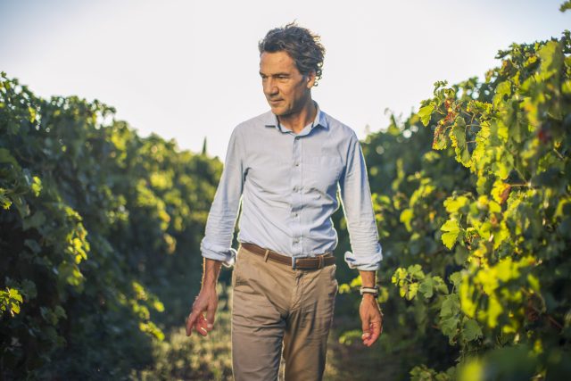 Les Domaines Paul Mas brings disease-resistant hybrid wine varieties to market
