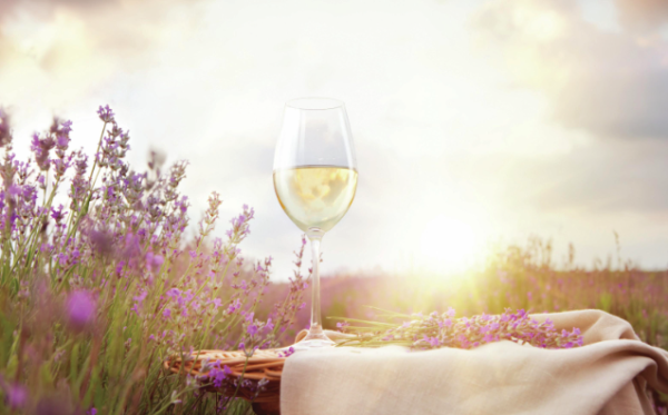 All the medal-winning wines from the Spring Tasting