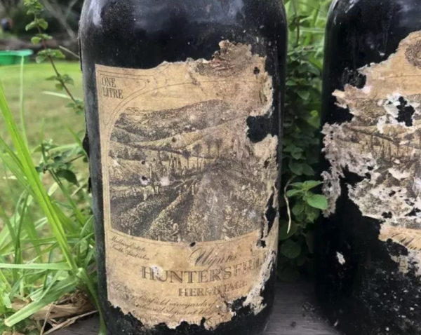 Woman discovers treasure trove of wine under house while cleaning