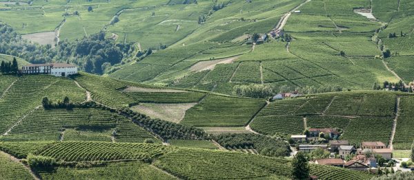 Sandrone joins Pol Roger Portfolio