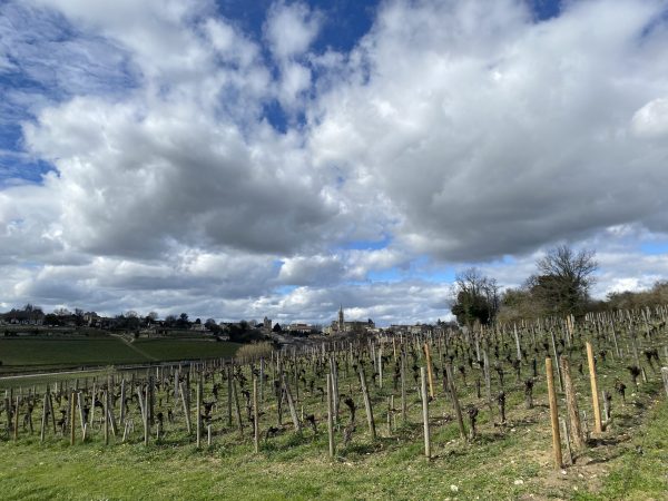 Bordeaux 2022 vintage report: The questions still to be answered