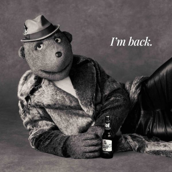 Hofmeister’s ‘George the Bear’ makes a ‘sophisticated’ comeback