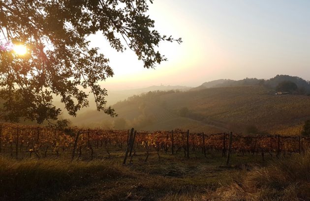 Derthona: the new-old Italian white protagonist