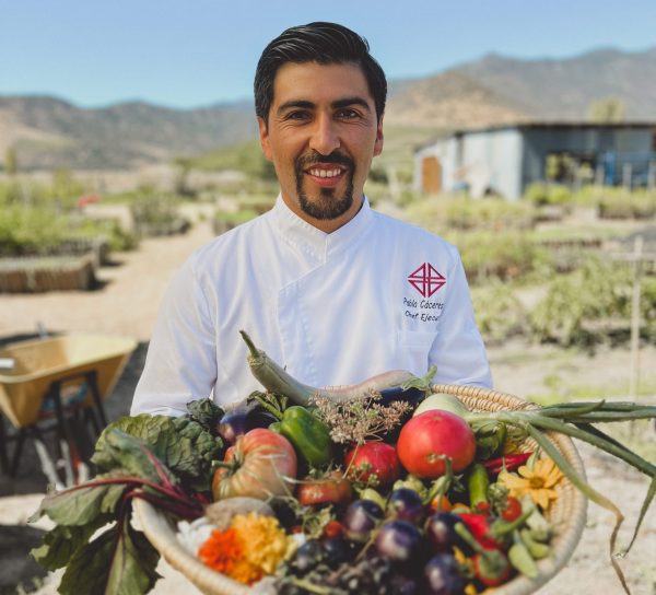 Vik opens agroecological winery restaurant