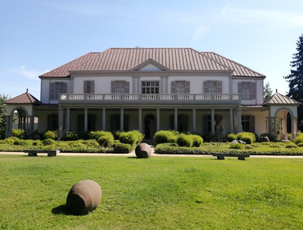 Cono Sur takes forward steps towards carbon neutrality