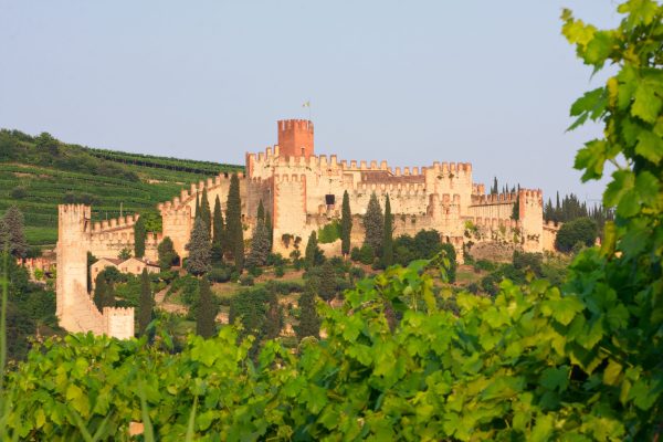 Soave aims to be ‘young, beautiful and smart’