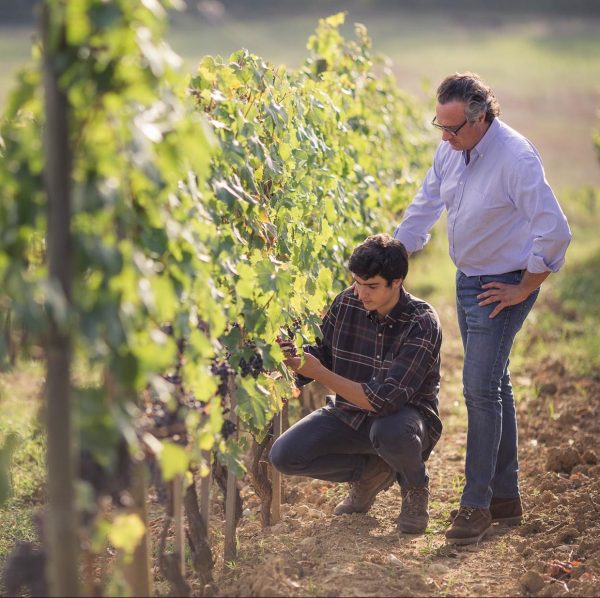 Piccini unveils Generazione Vigneti