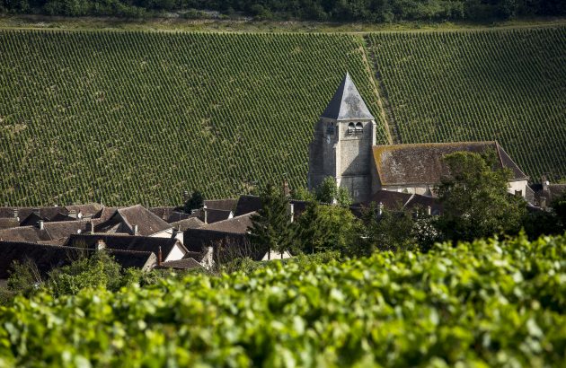 DBR Lafite ‘in talks’ with Domaine Artémis to buy Chablis producer William Fèvre