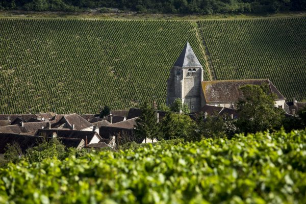 DBR Lafite ‘in talks’ with Domaine Artémis to buy Chablis producer William Fèvre