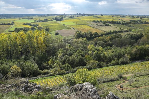 ‘The Loire is the next Burgundy’