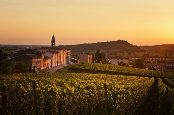 Exploring the terroirs of Soave