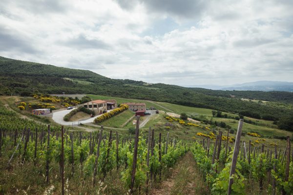 Leone Alato acquires Duemani