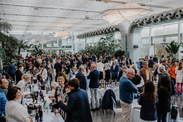 Sicily: nine wine trends to watch out for