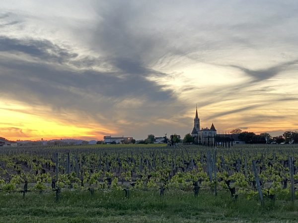 Bordeaux 2022 by appellation: Pomerol, a study in complexity