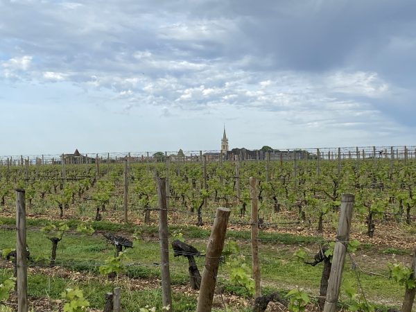 Pomerol 2022: tasting notes