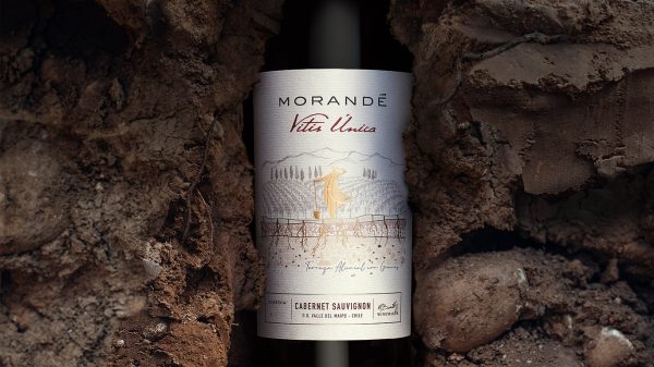 Chile’s Morandé ditches ‘misleading’ gran reserva descriptor