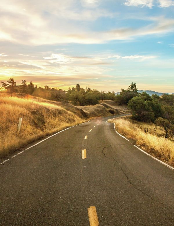 Why California’s winemakers are heading north