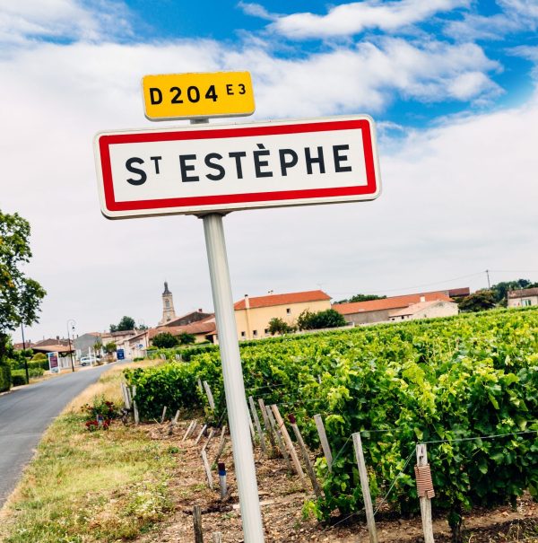 St Estèphe 2023 en primeur: tasting notes