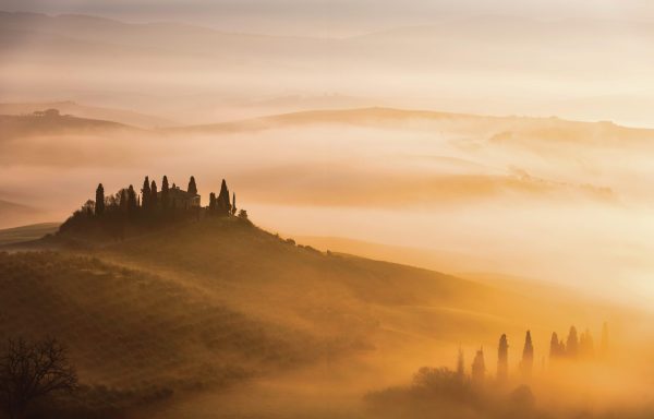 Italian white wines are undergoing a Renaissance