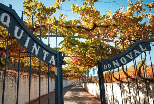 Quinta do Noval declares 2021 vintage Ports