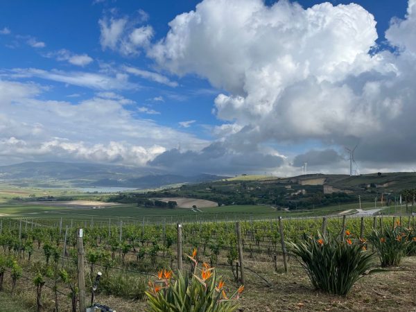 The week in pictures