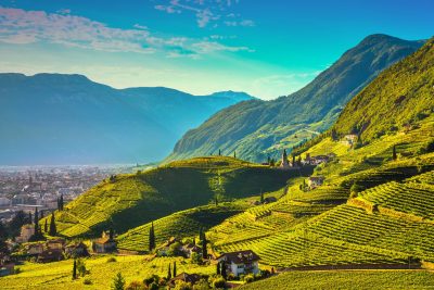 Italy launches new ‘crisis fund’ for winemakers in Trentino